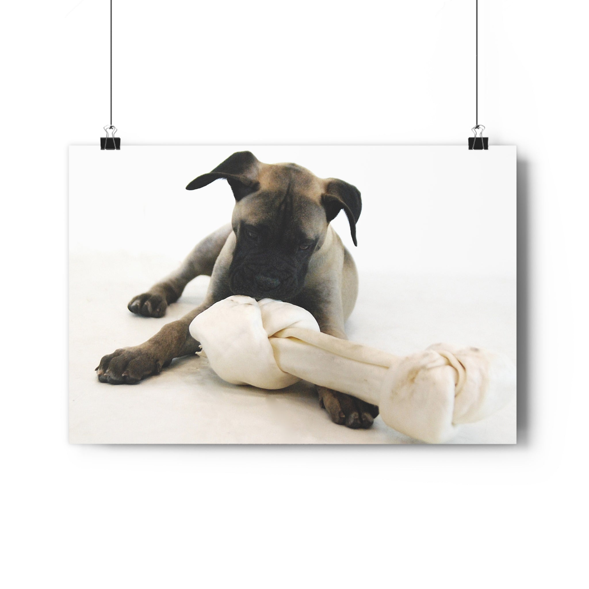 Bullmastiff Puppy with Giant Rawhide — Giclée Art Print by autistic artist