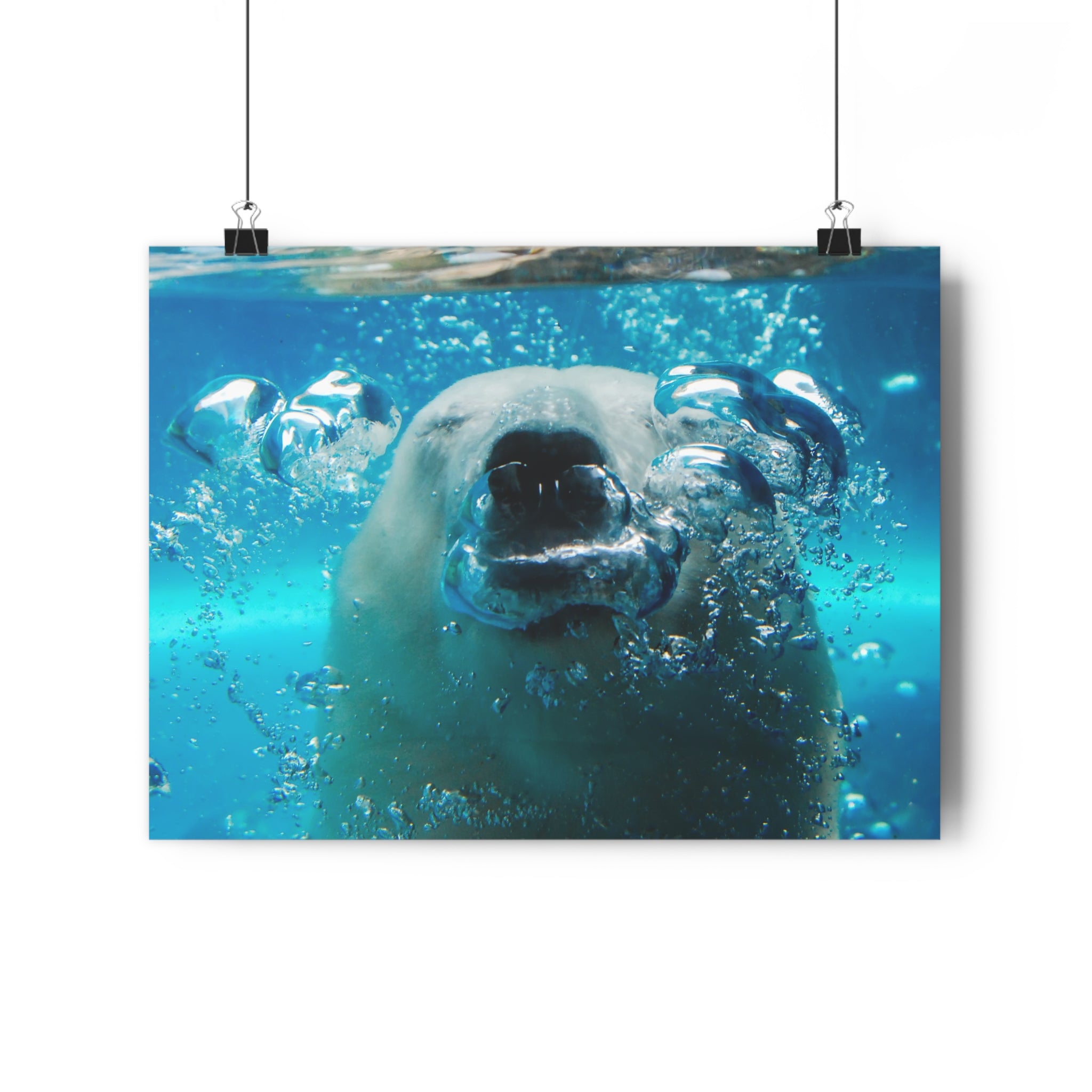Polar Bear Bubbles Face to Face Giclée Art Print — Underwater Arctic Snout photo taken at Pittsburgh Zoo by autistic photographer