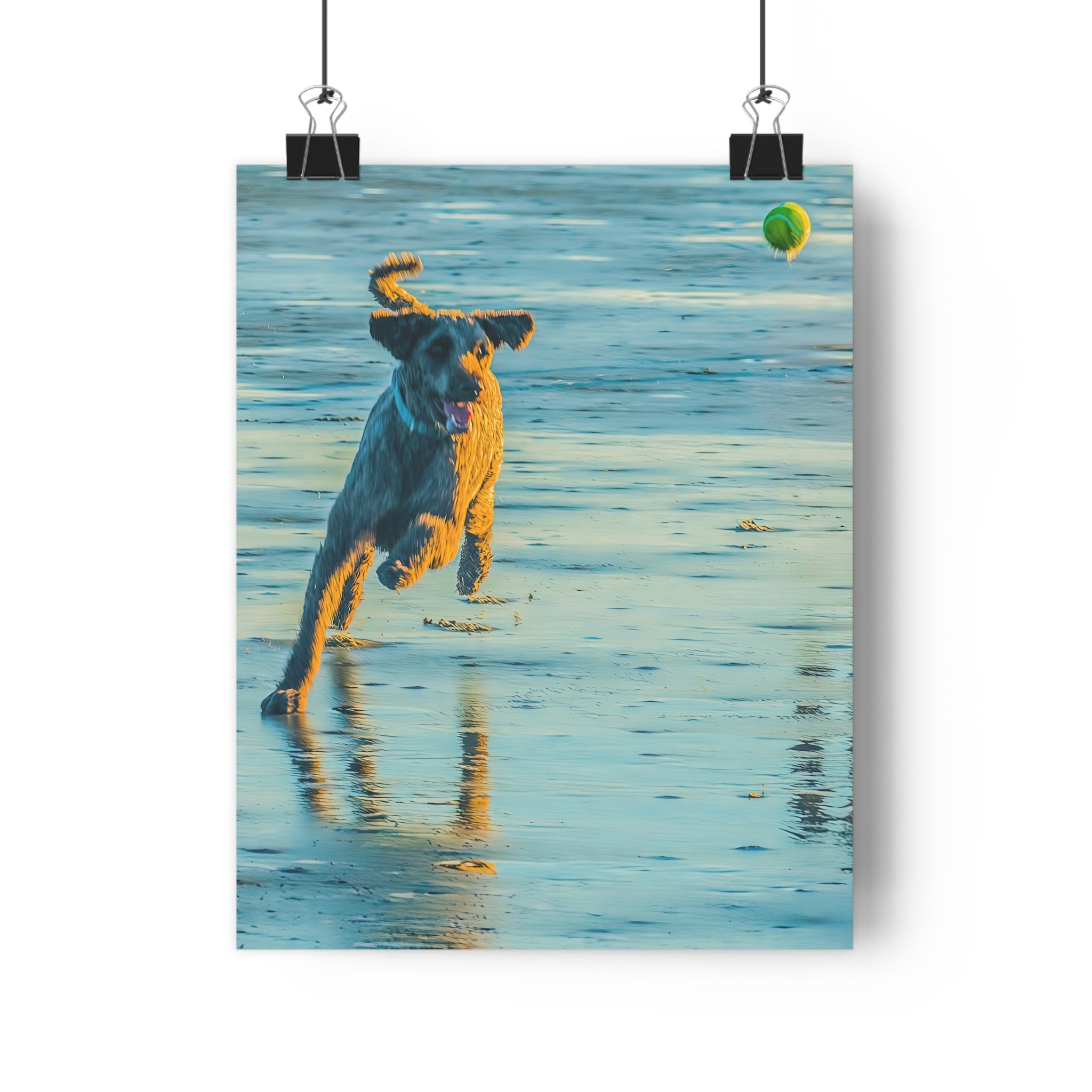 Beach Dog Photo Print — Giclée Art of Dog Playing Fetch on Glassy Sand