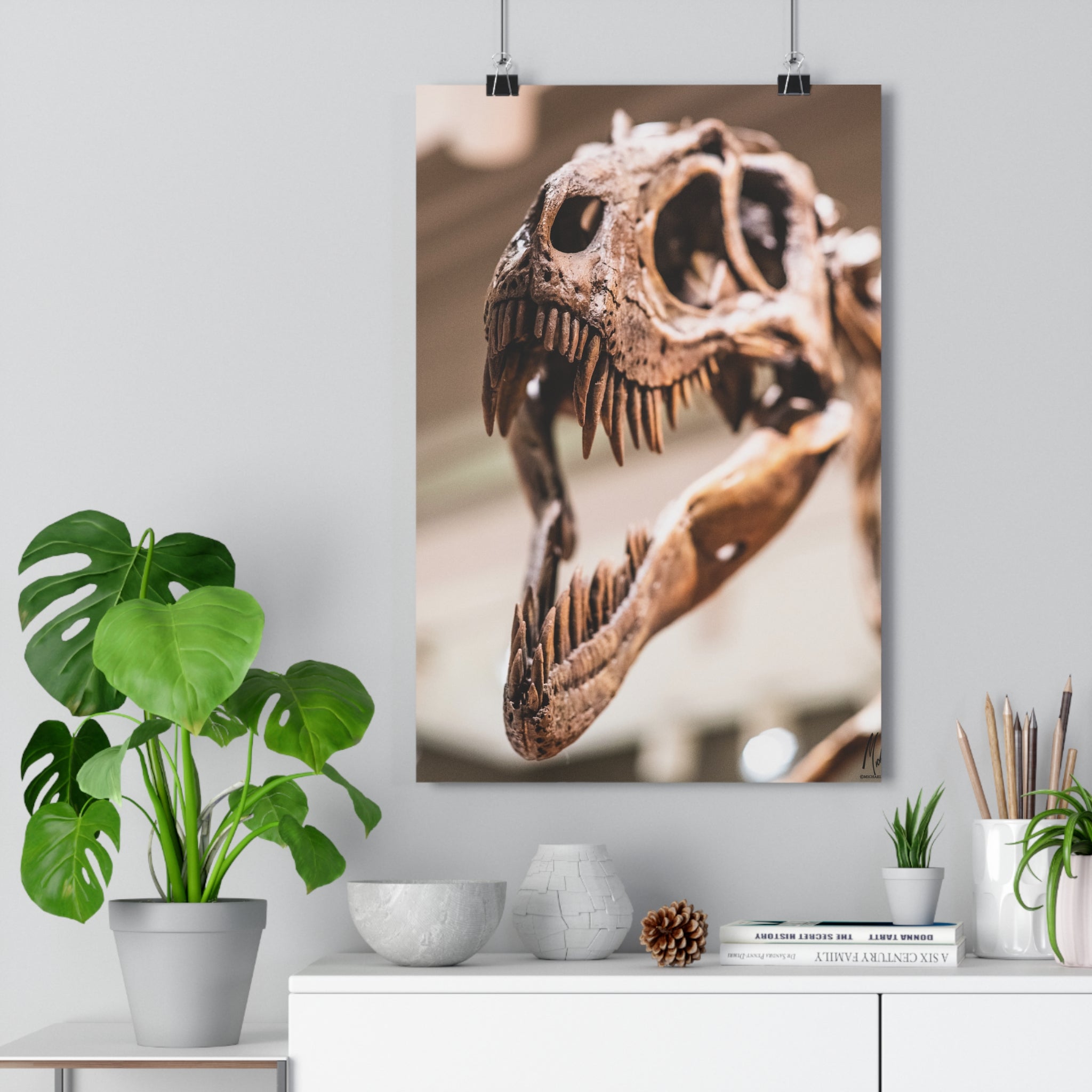 Allosaurus Skull Giclée Art Print — High-Angle Prehistoric Fossil Wall Art by autistic photographer at Carnegie Museum of Natural History, Pittsburgh, Pennsylvania