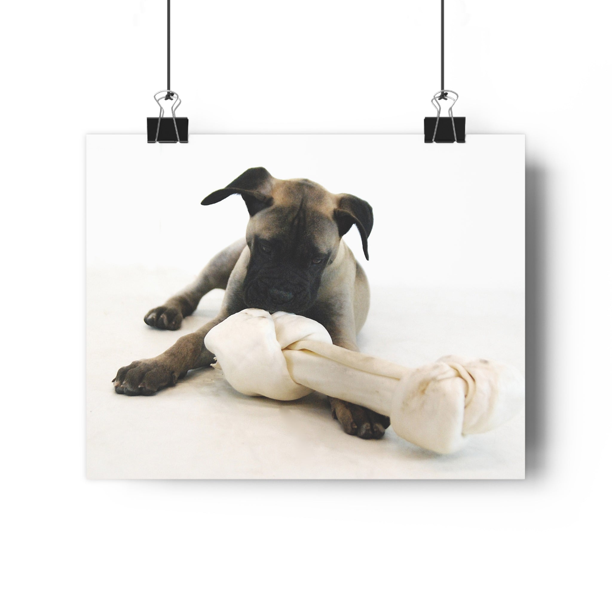 Bullmastiff Puppy with Giant Rawhide — Giclée Art Print by autistic artist