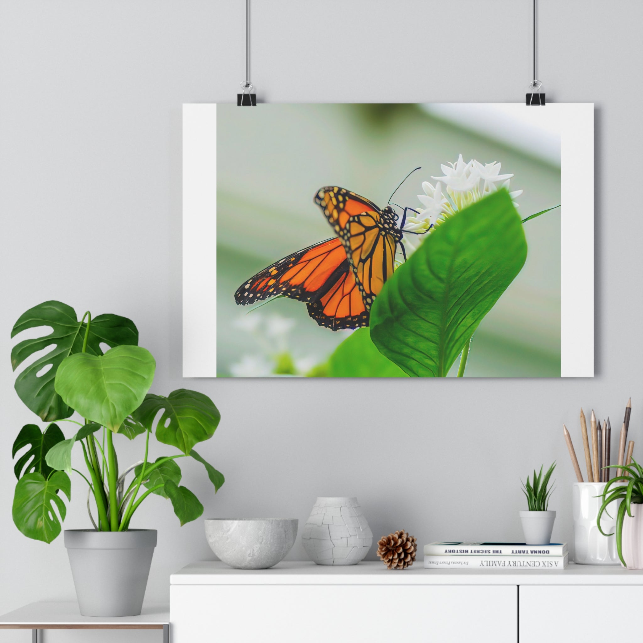 Monarch on White Blossoms — Giclée Art Print by autistic photographer at Phipps Conservatory
