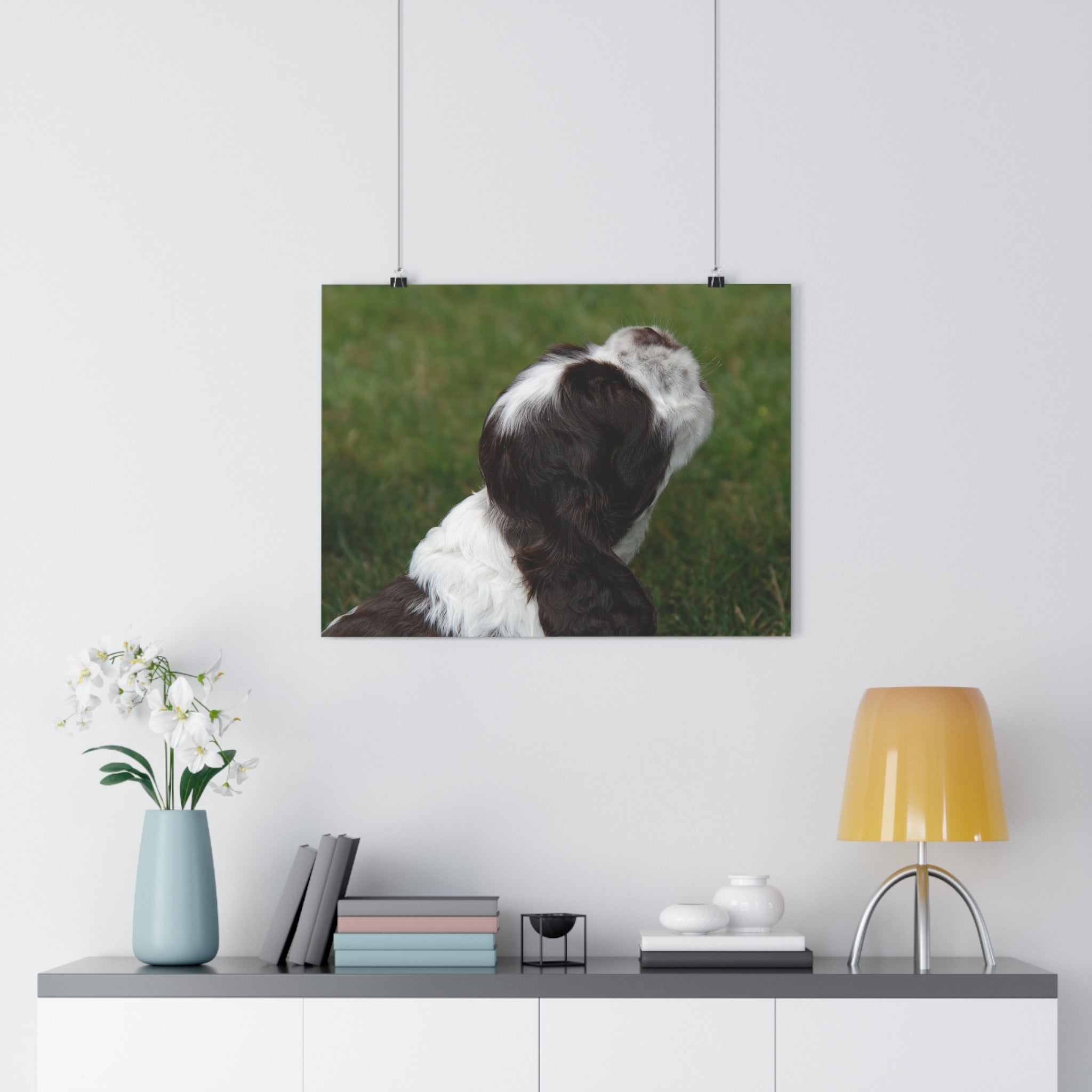 Cocker Spaniel Puppy Giclée Art Print – Looking Up Puppy Photo Wall Art by autistic photographer