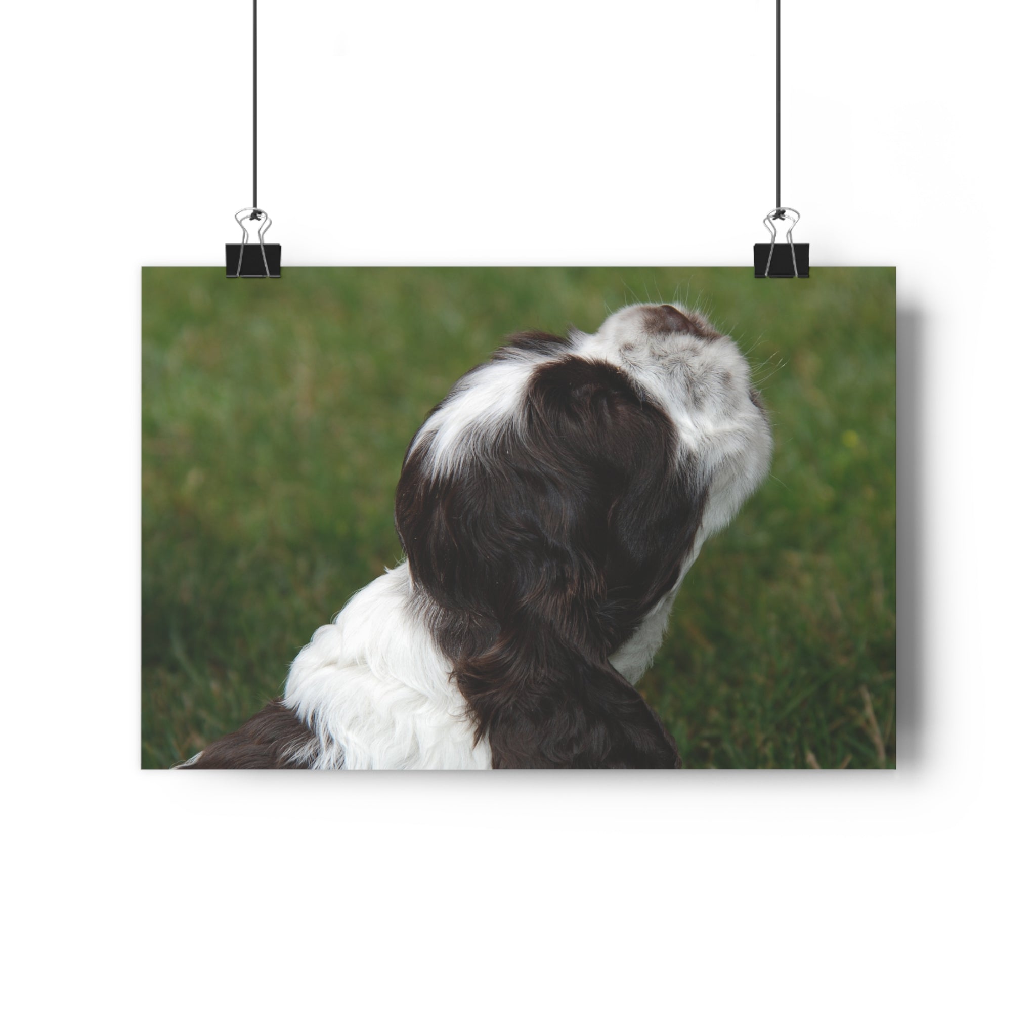 Cocker Spaniel Puppy Giclée Art Print – Looking Up Puppy Photo Wall Art by autistic photographer