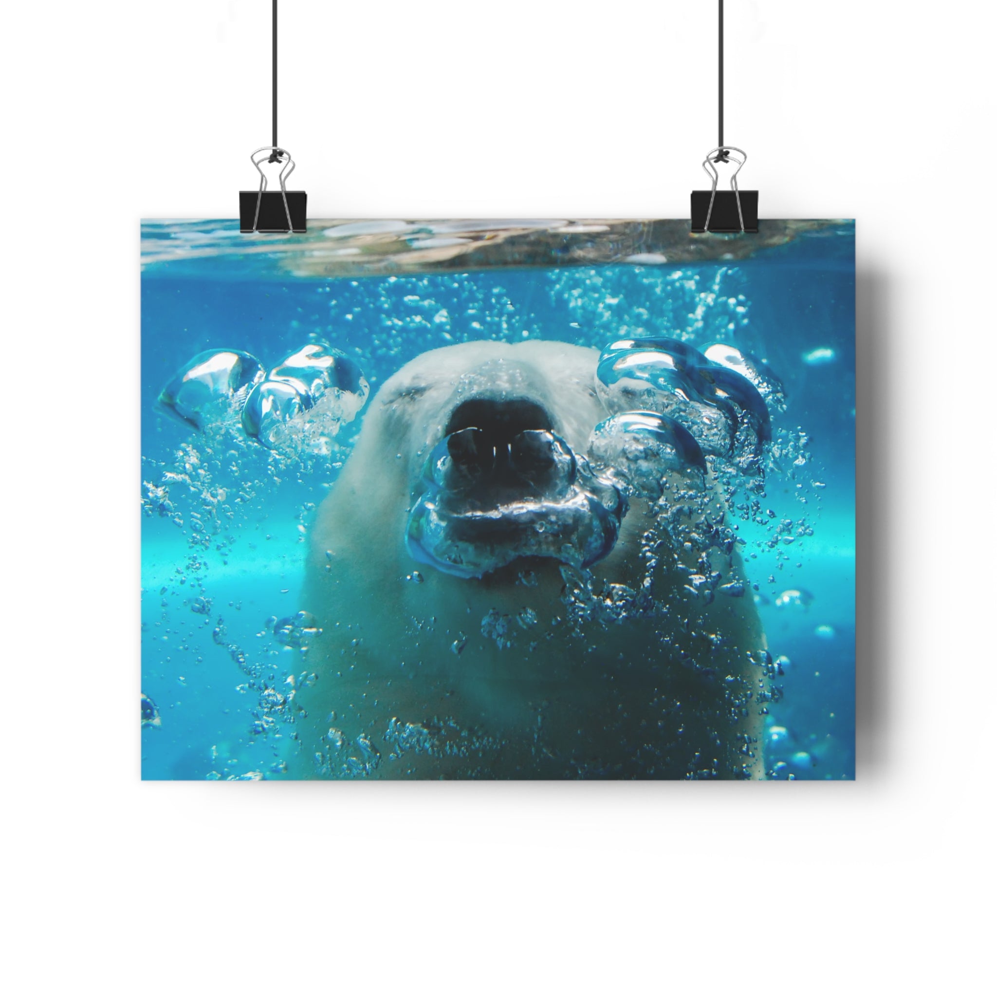Polar Bear Bubbles Face to Face Giclée Art Print — Underwater Arctic Snout photo taken at Pittsburgh Zoo by autistic photographer