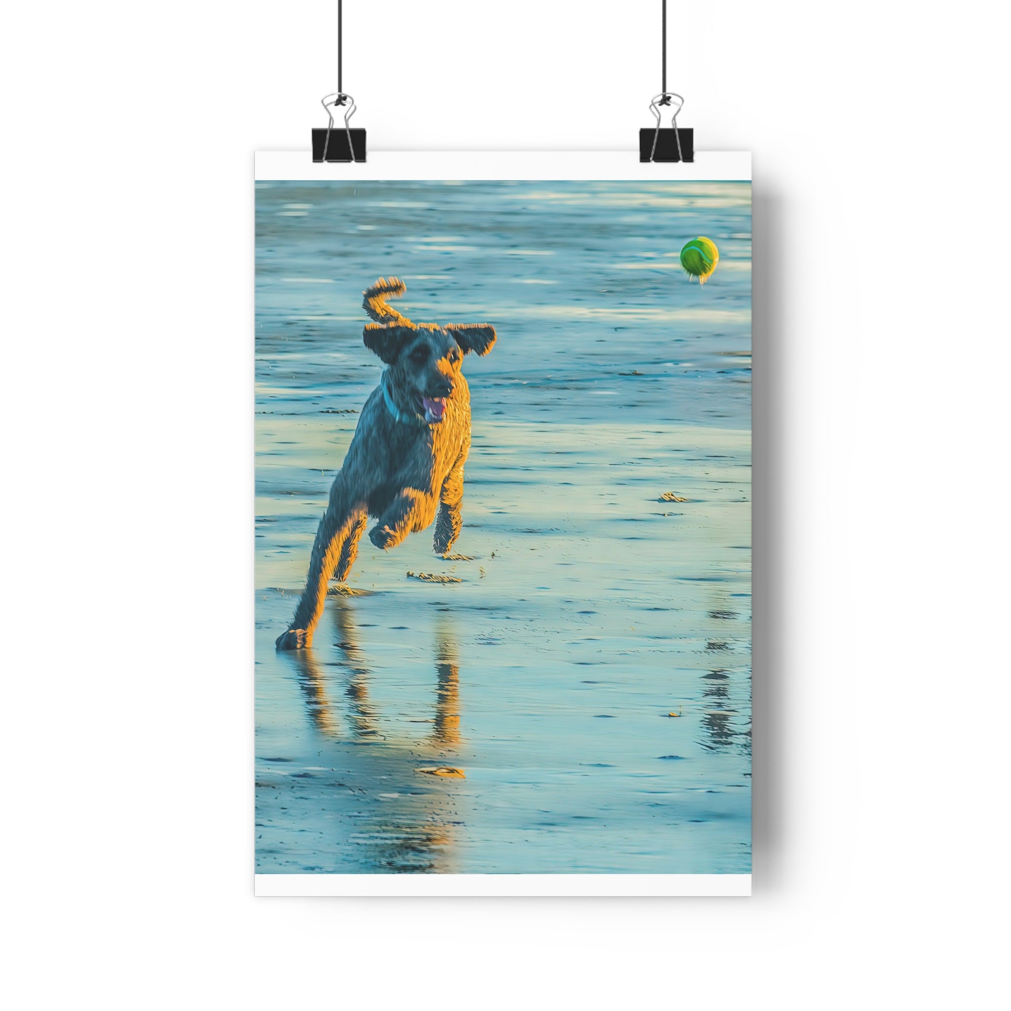 Beach Dog Photo Print — Giclée Art of Dog Playing Fetch on Glassy Sand