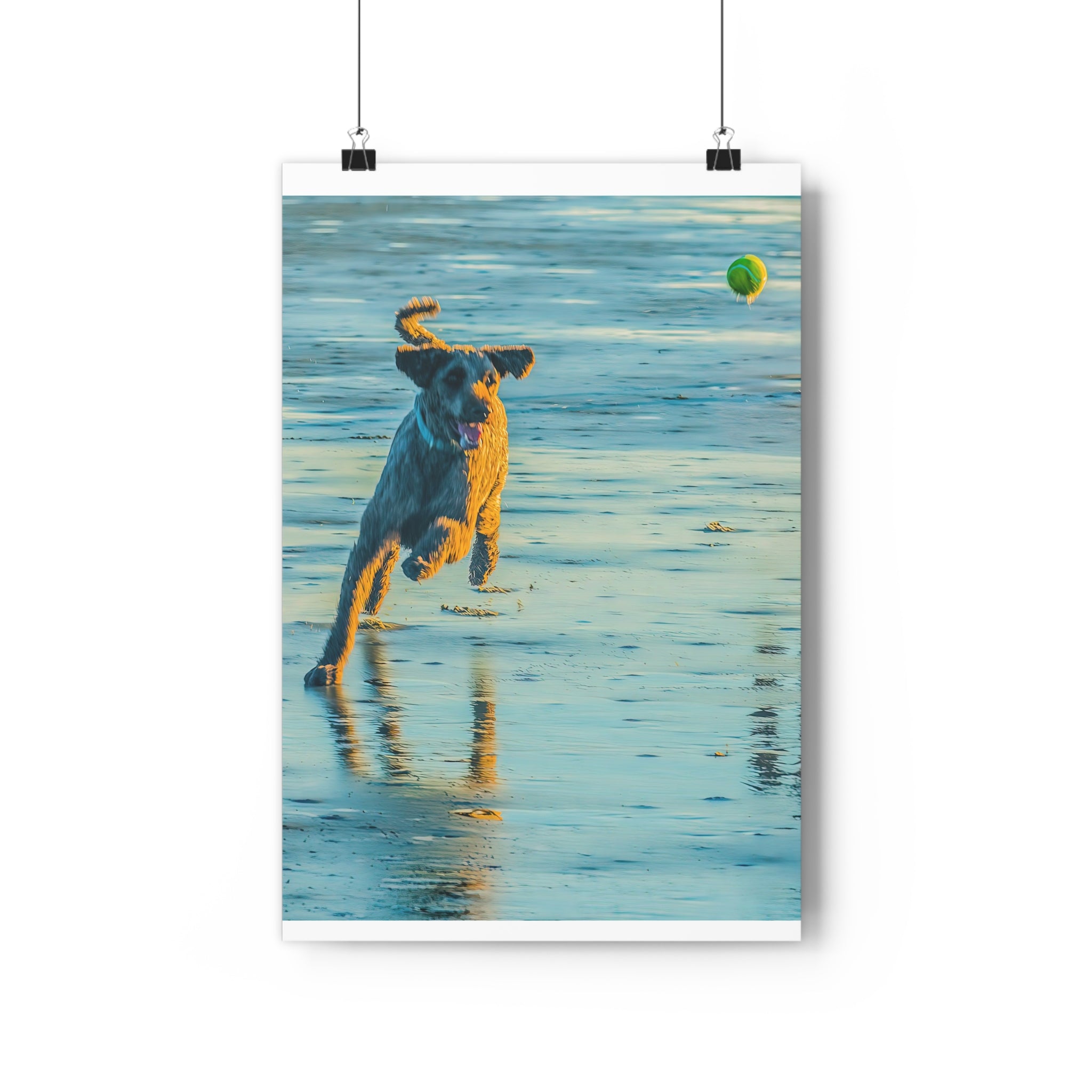 Beach Dog Photo Print — Giclée Art of Dog Playing Fetch on Glassy Sand