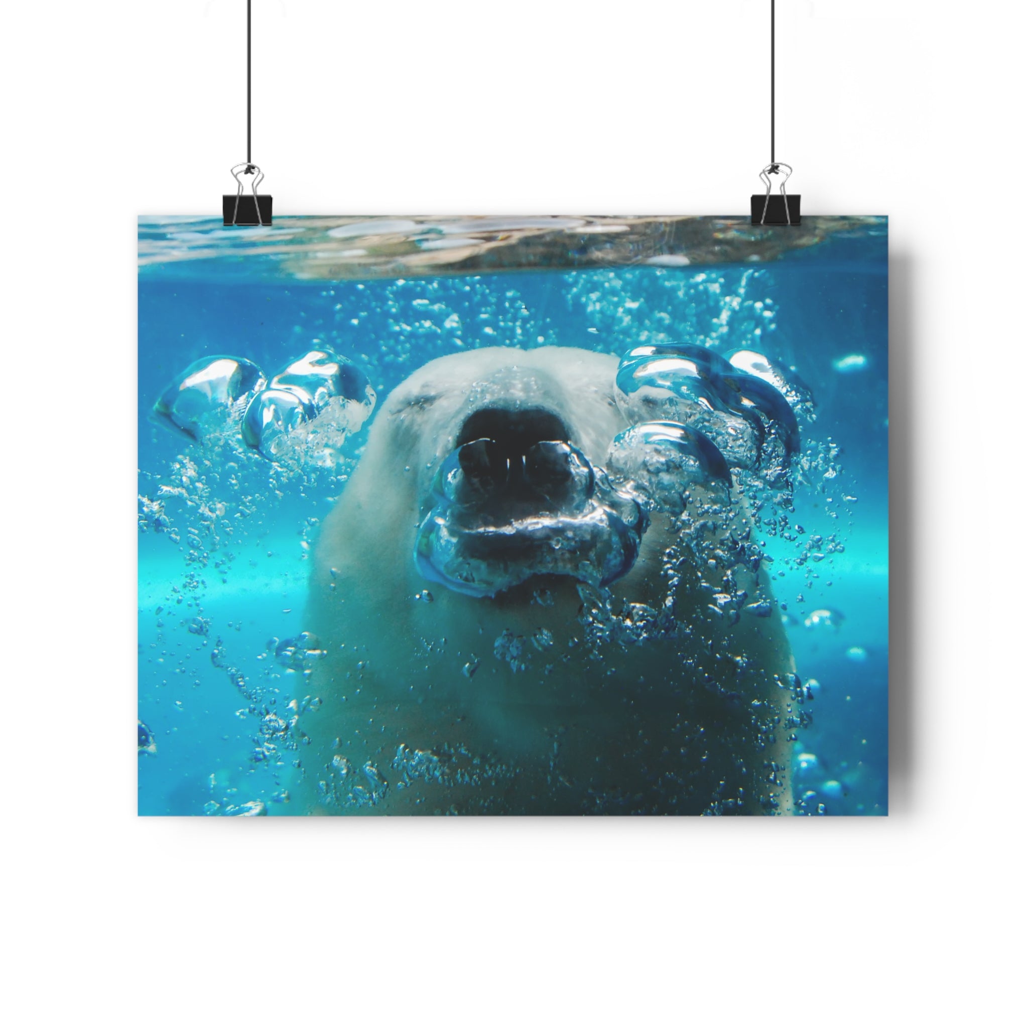 Polar Bear Bubbles Face to Face Giclée Art Print — Underwater Arctic Snout photo taken at Pittsburgh Zoo by autistic photographer