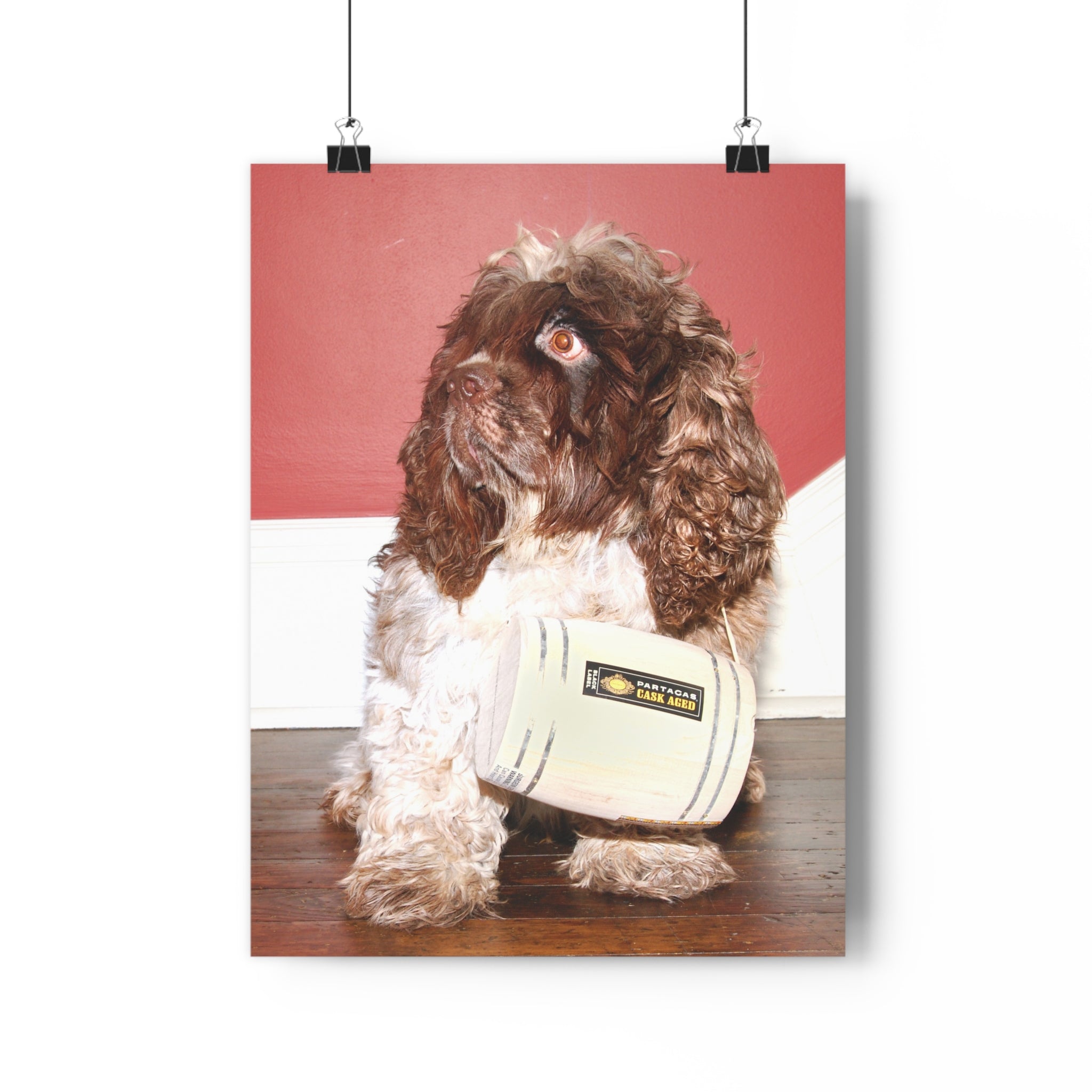 Fun Chocolate & White Cocker Spaniel homage to St. Bernard Giclée Art Print – Vintage Radio Prop Pet Portrait by autistic photographer