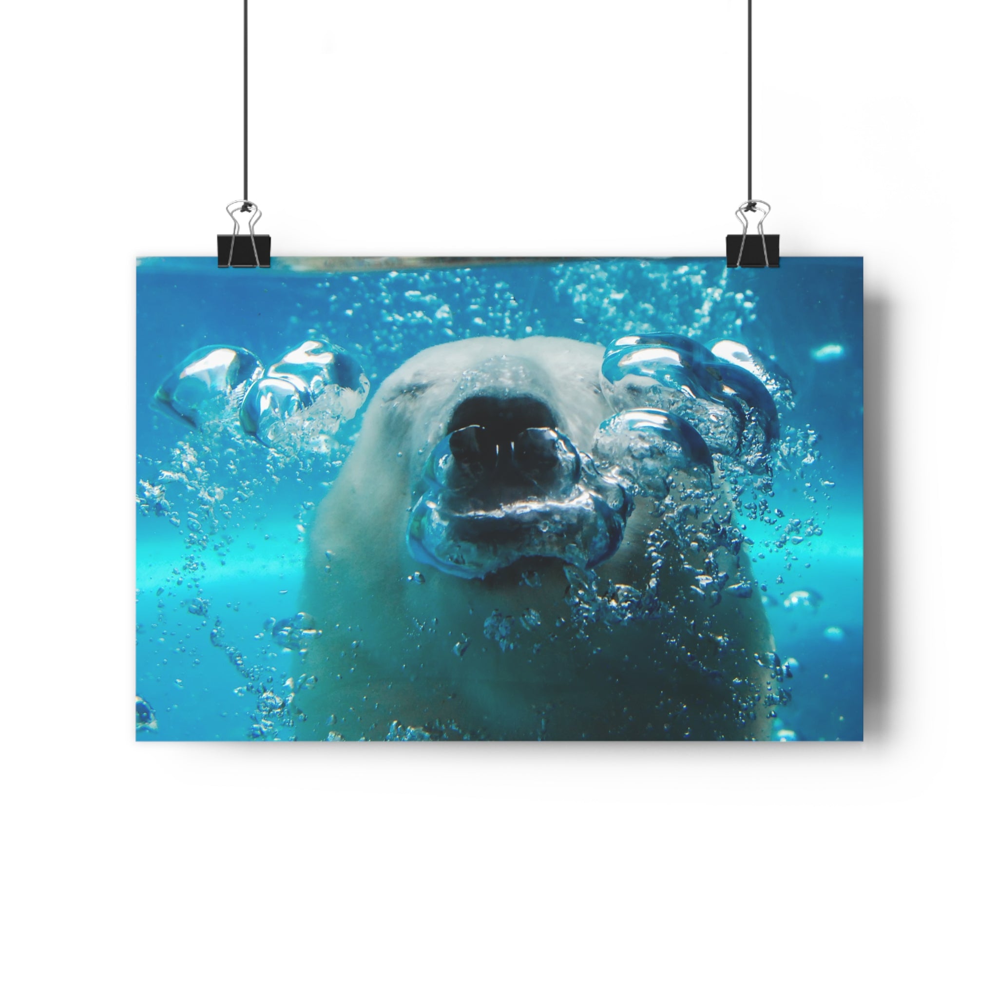 Polar Bear Bubbles Face to Face Giclée Art Print — Underwater Arctic Snout photo taken at Pittsburgh Zoo by autistic photographer