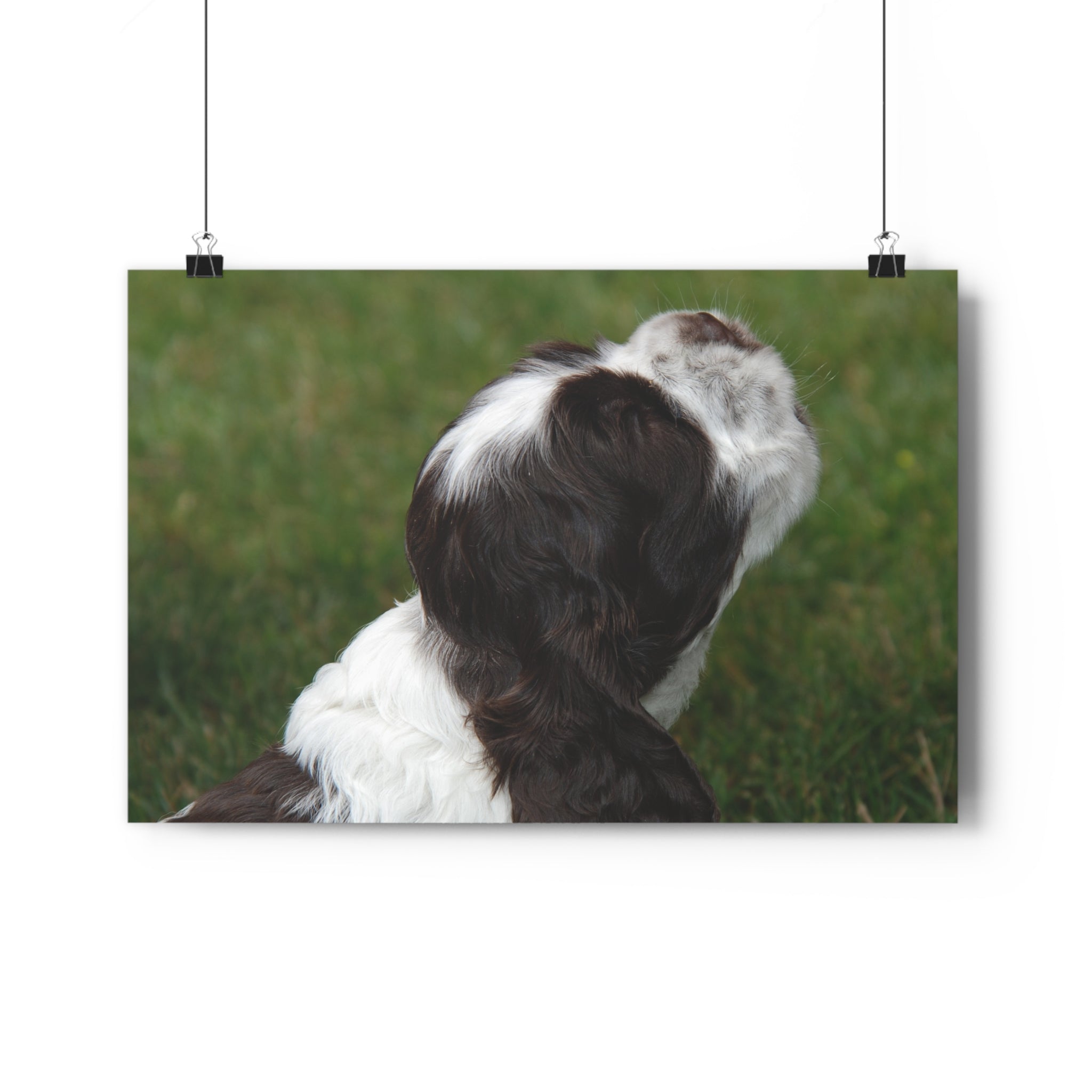 Cocker Spaniel Puppy Giclée Art Print – Looking Up Puppy Photo Wall Art by autistic photographer