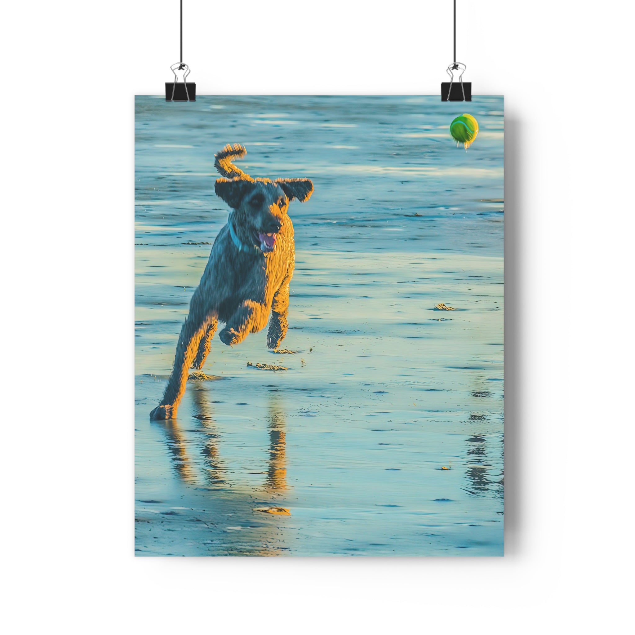 Beach Dog Photo Print — Giclée Art of Dog Playing Fetch on Glassy Sand