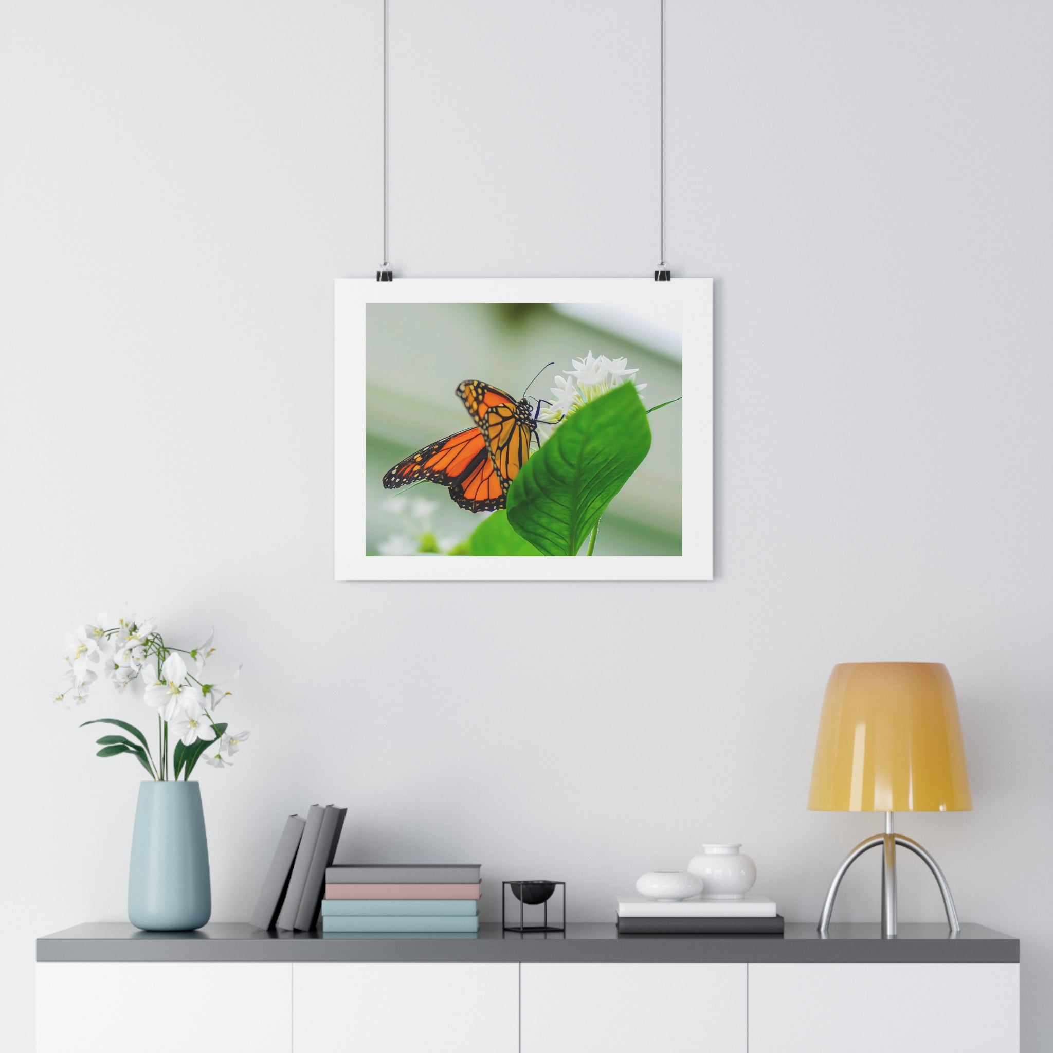 Monarch on White Blossoms — Giclée Art Print by autistic photographer at Phipps Conservatory