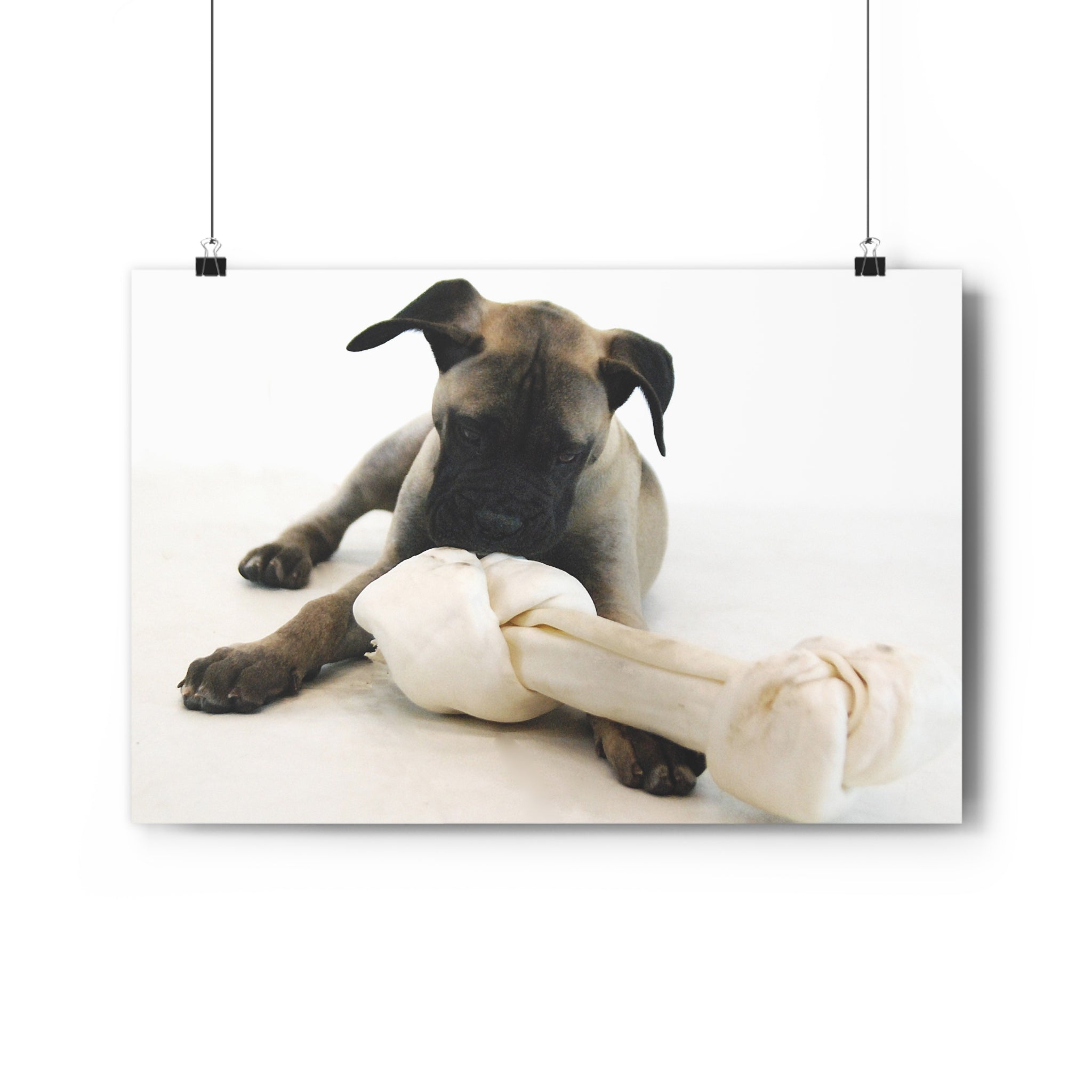 Bullmastiff Puppy with Giant Rawhide — Giclée Art Print by autistic artist