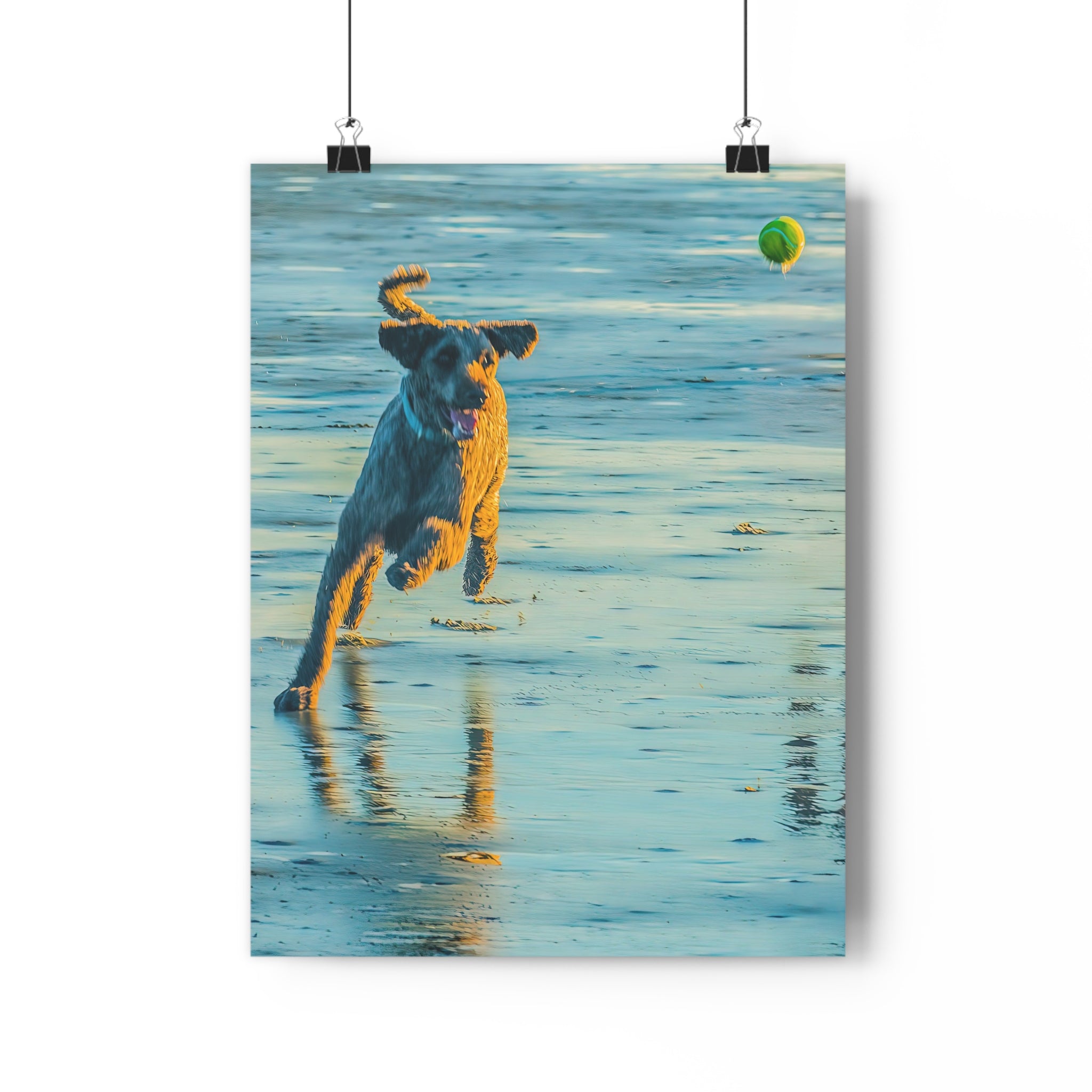 Beach Dog Photo Print — Giclée Art of Dog Playing Fetch on Glassy Sand