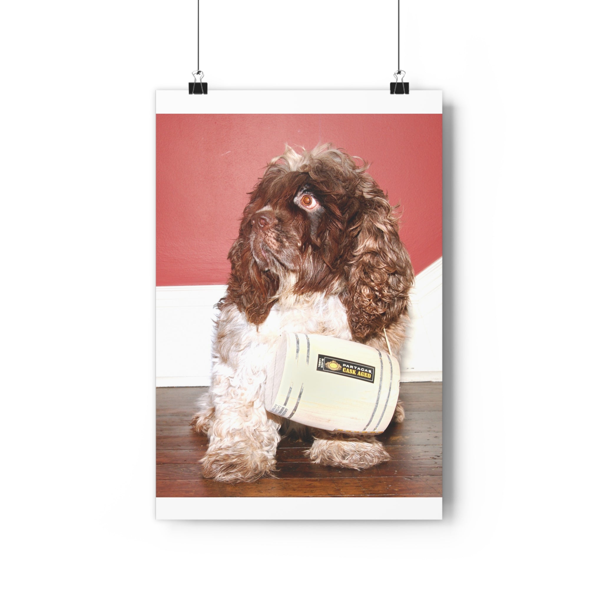 Fun Chocolate & White Cocker Spaniel homage to St. Bernard Giclée Art Print – Vintage Radio Prop Pet Portrait by autistic photographer