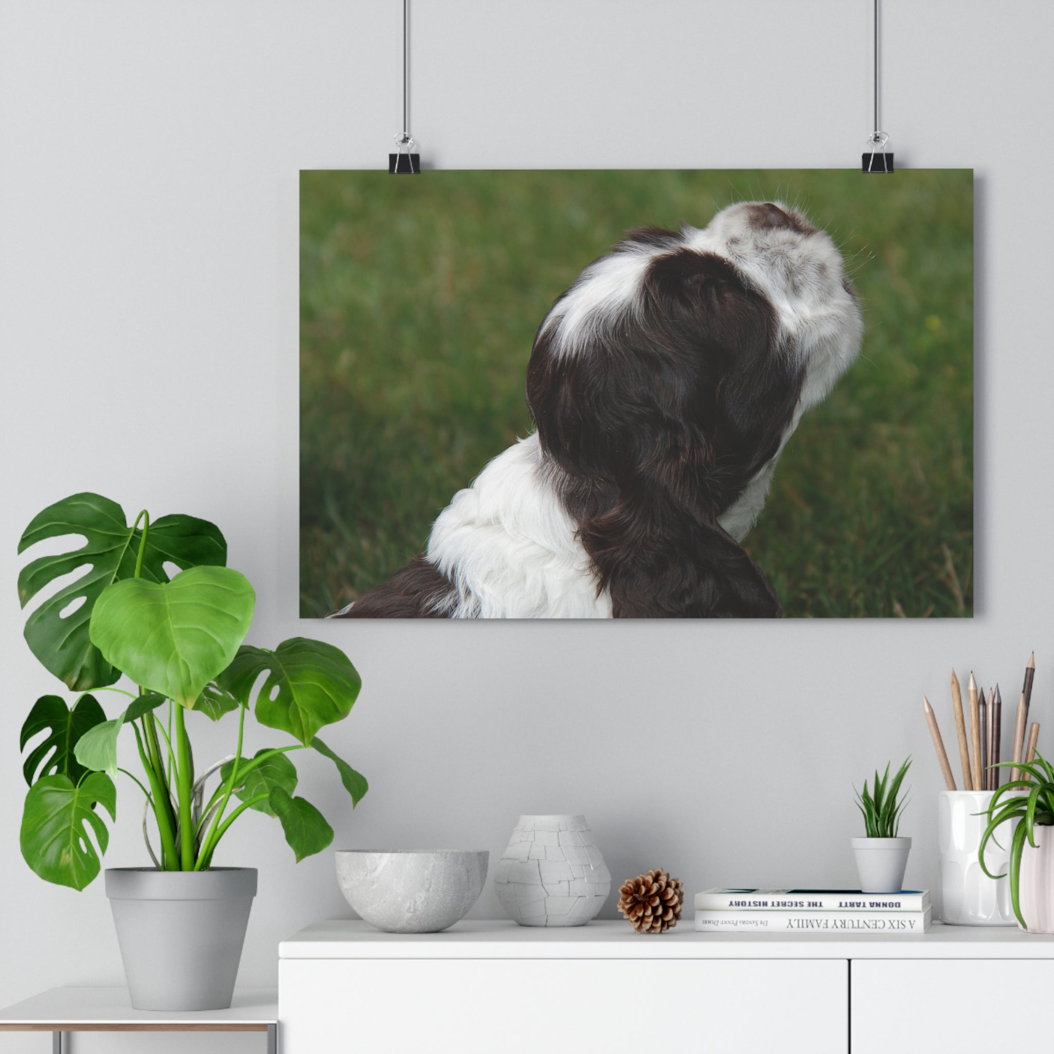 Cocker Spaniel Puppy Giclée Art Print – Looking Up Puppy Photo Wall Art by autistic photographer