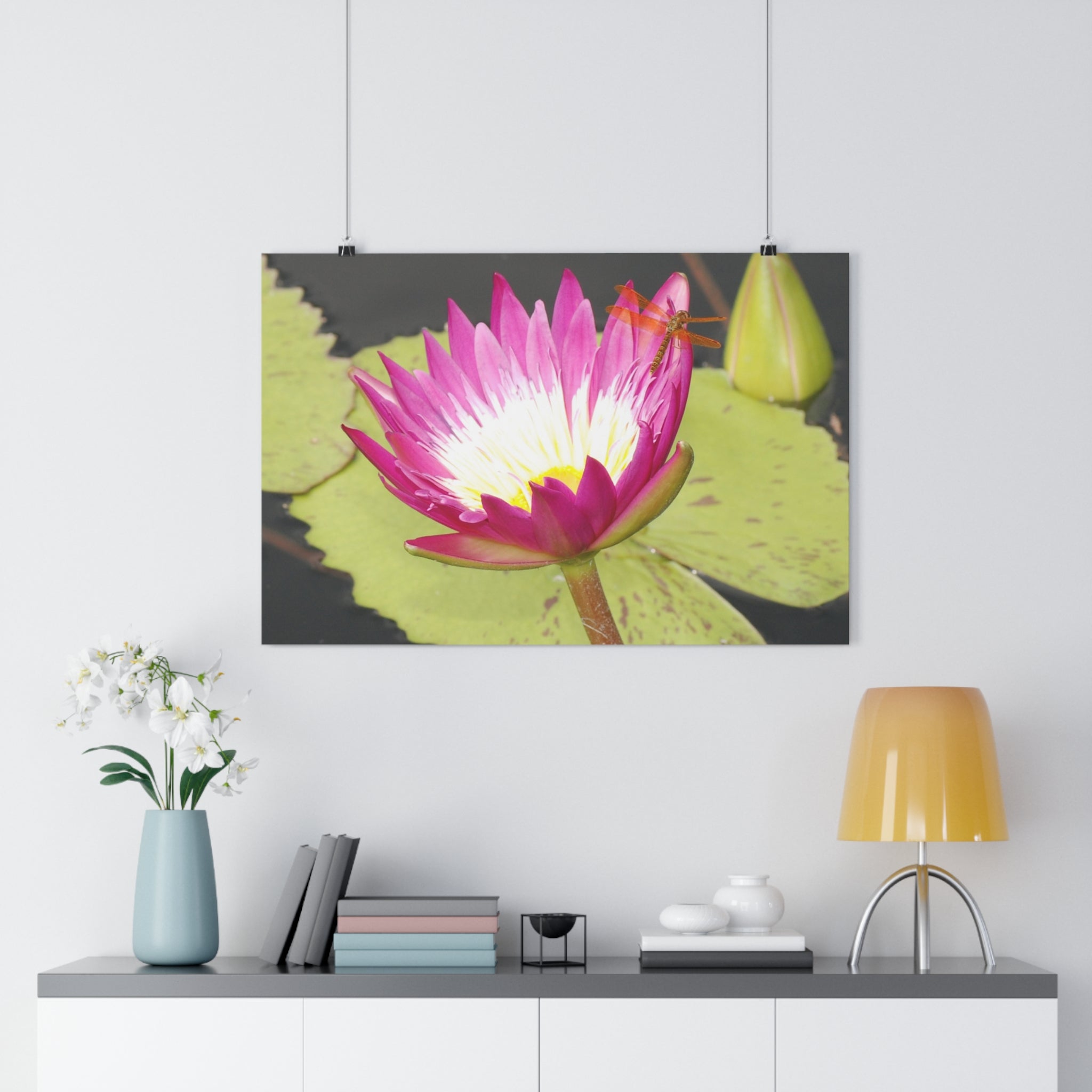Water Lily & Dragonfly Giclée Art Print — 'Quiet Confidence' Museum-Quality Floral Photography