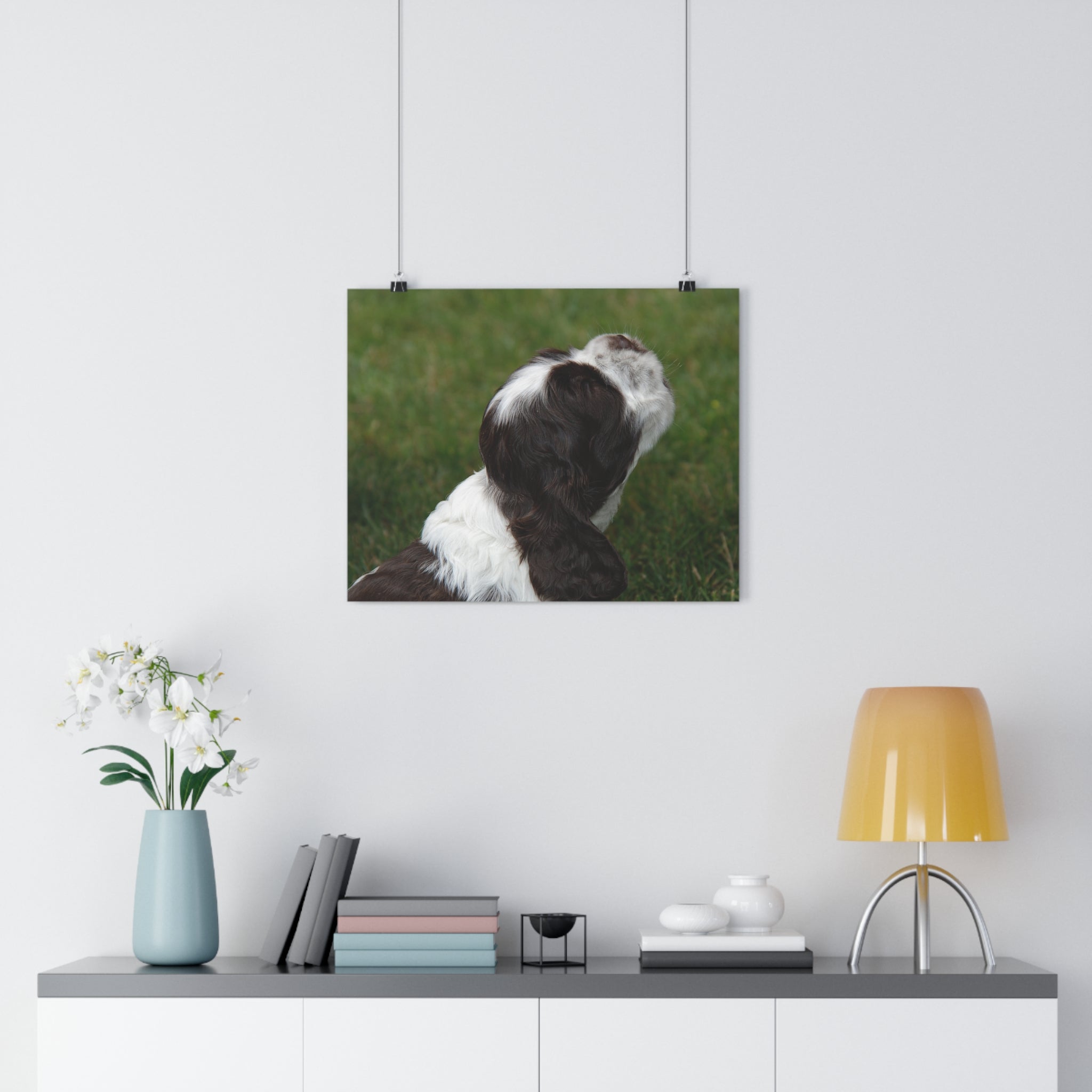 Cocker Spaniel Puppy Giclée Art Print – Looking Up Puppy Photo Wall Art by autistic photographer