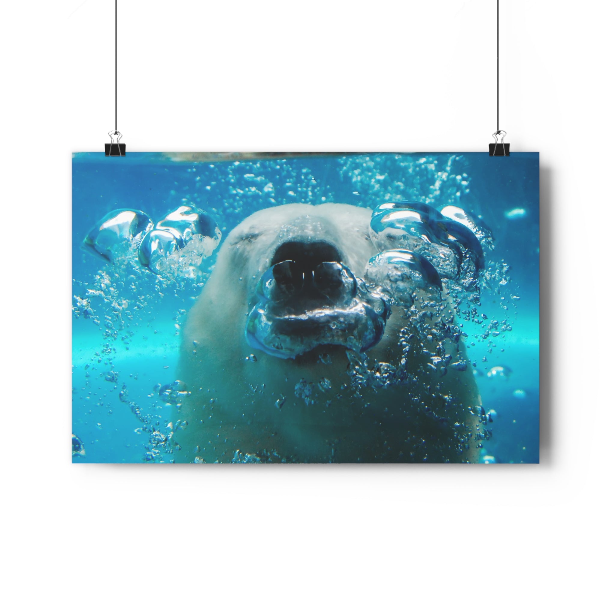 Polar Bear Bubbles Face to Face Giclée Art Print — Underwater Arctic Snout photo taken at Pittsburgh Zoo by autistic photographer