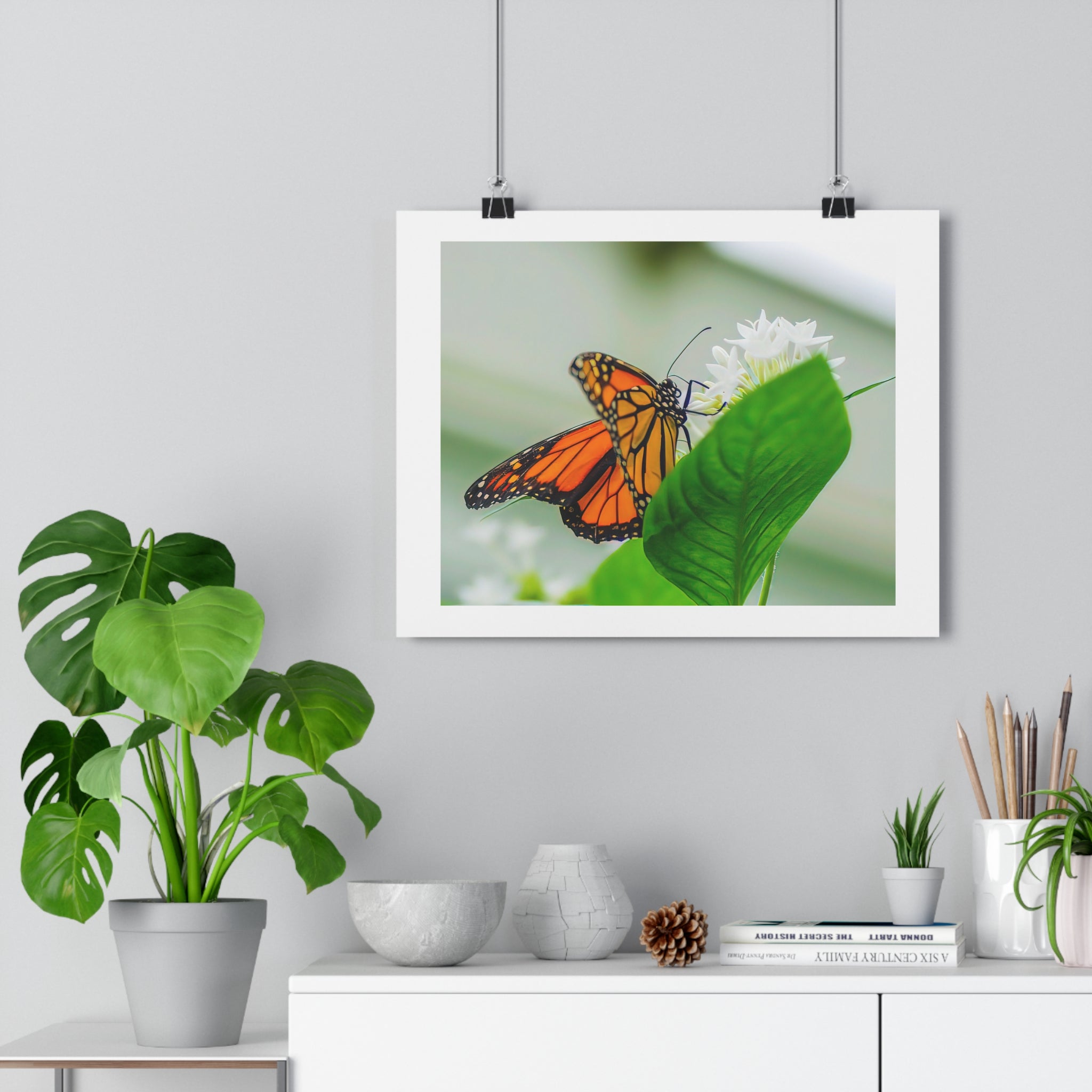Monarch on White Blossoms — Giclée Art Print by autistic photographer at Phipps Conservatory