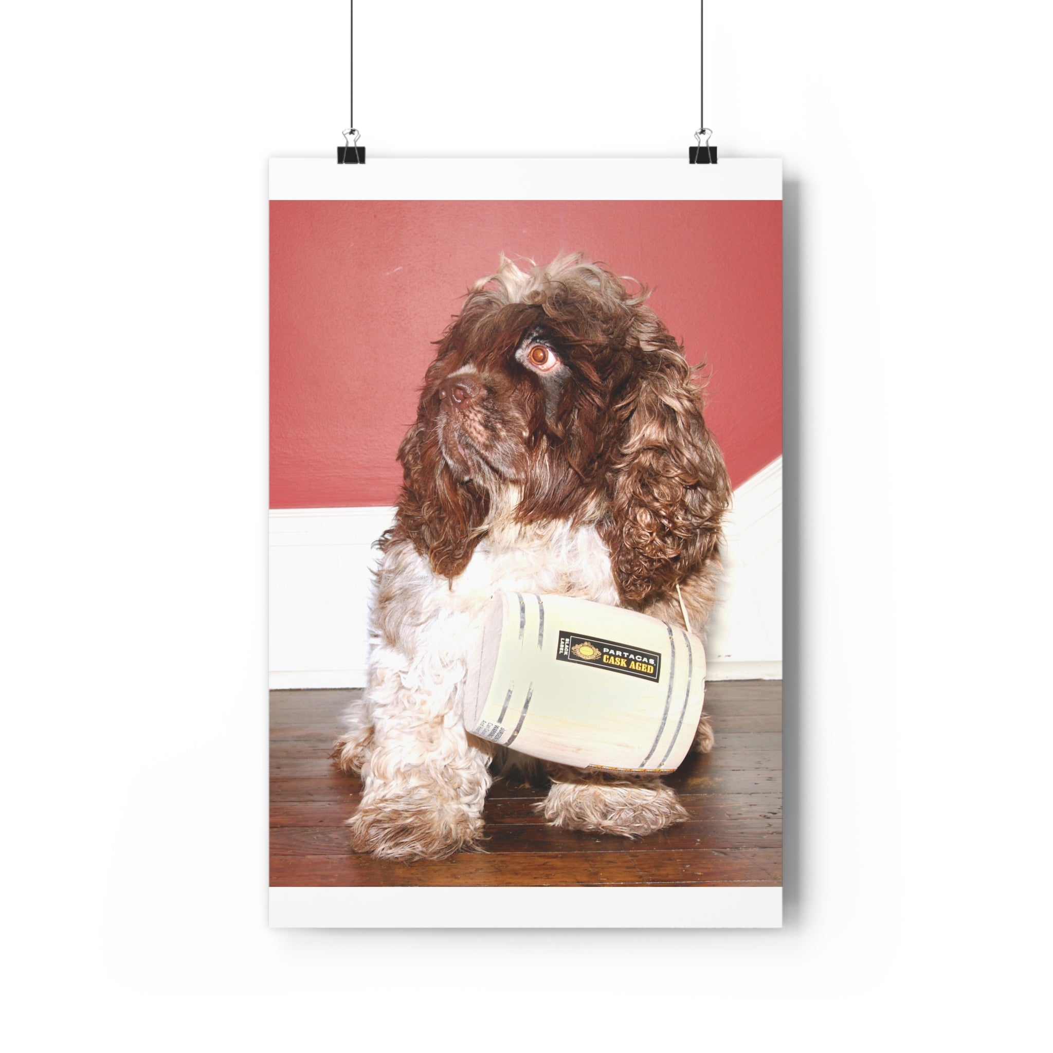 Fun Chocolate & White Cocker Spaniel homage to St. Bernard Giclée Art Print – Vintage Radio Prop Pet Portrait by autistic photographer