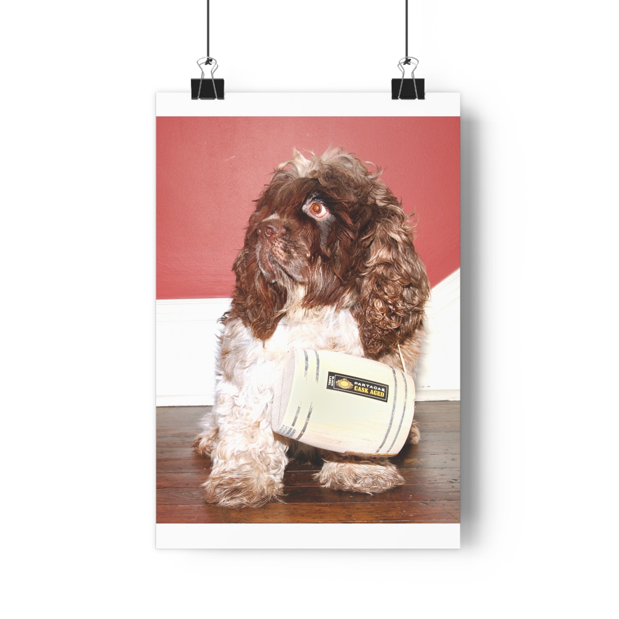 Fun Chocolate & White Cocker Spaniel homage to St. Bernard Giclée Art Print – Vintage Radio Prop Pet Portrait by autistic photographer