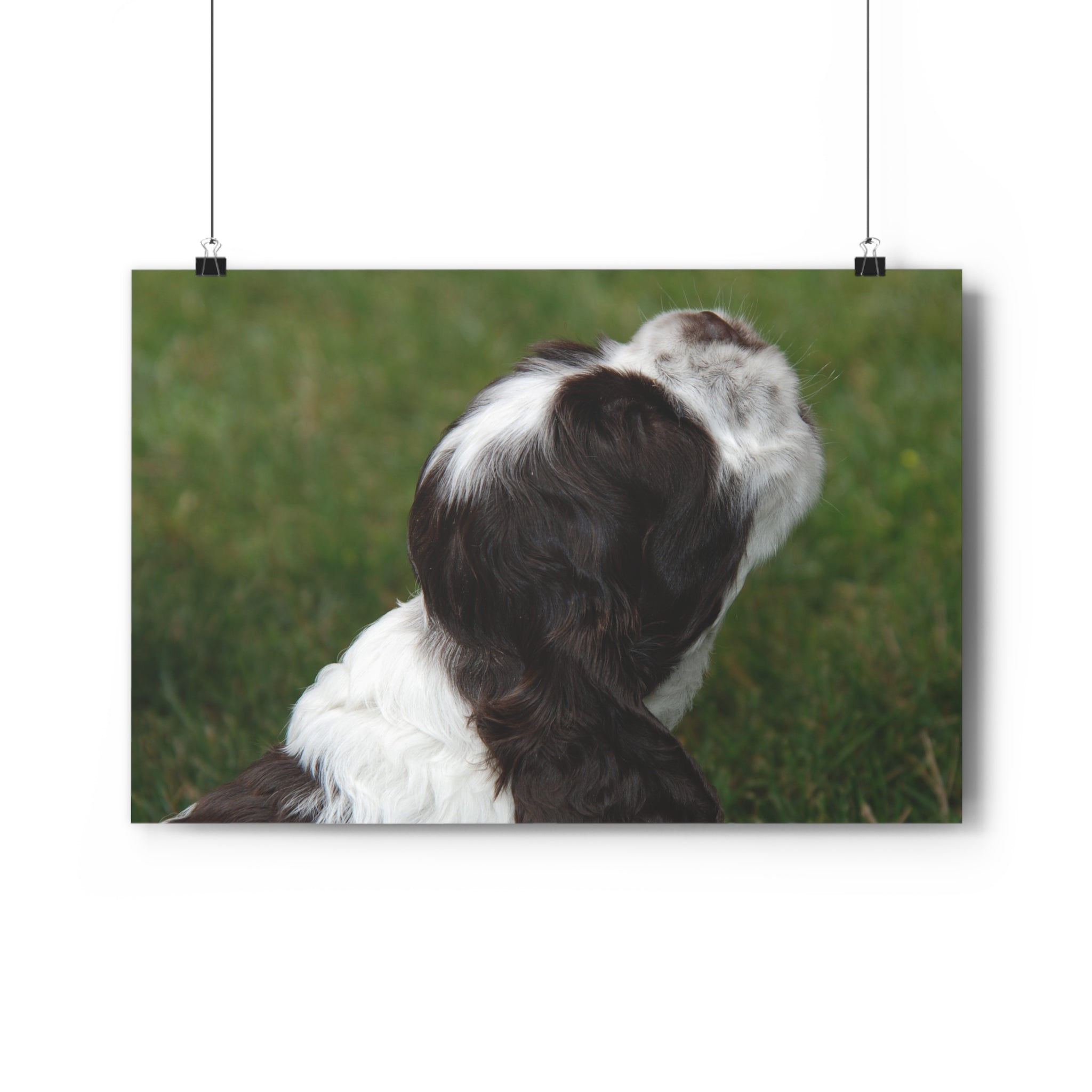 Cocker Spaniel Puppy Giclée Art Print – Looking Up Puppy Photo Wall Art by autistic photographer