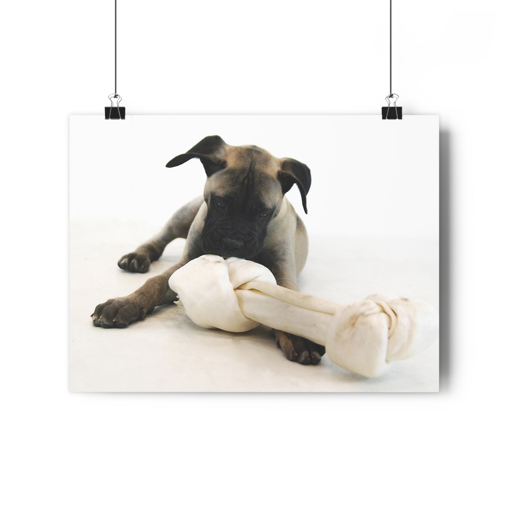 Bullmastiff Puppy with Giant Rawhide — Giclée Art Print by autistic artist