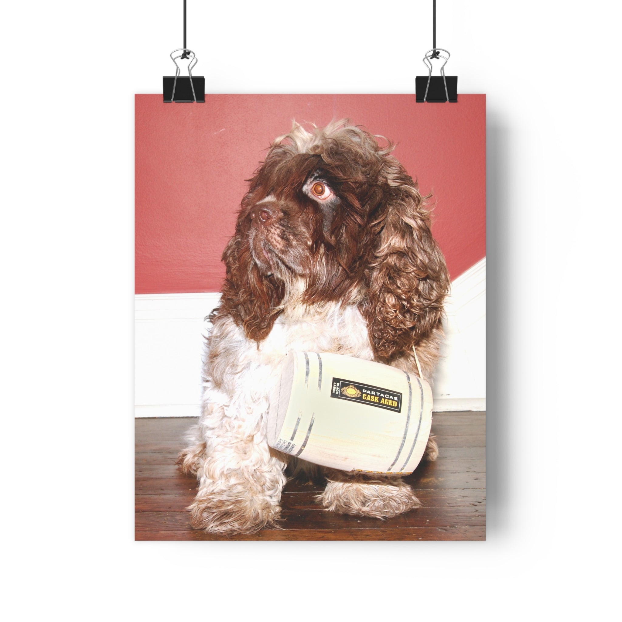 Fun Chocolate & White Cocker Spaniel homage to St. Bernard Giclée Art Print – Vintage Radio Prop Pet Portrait by autistic photographer