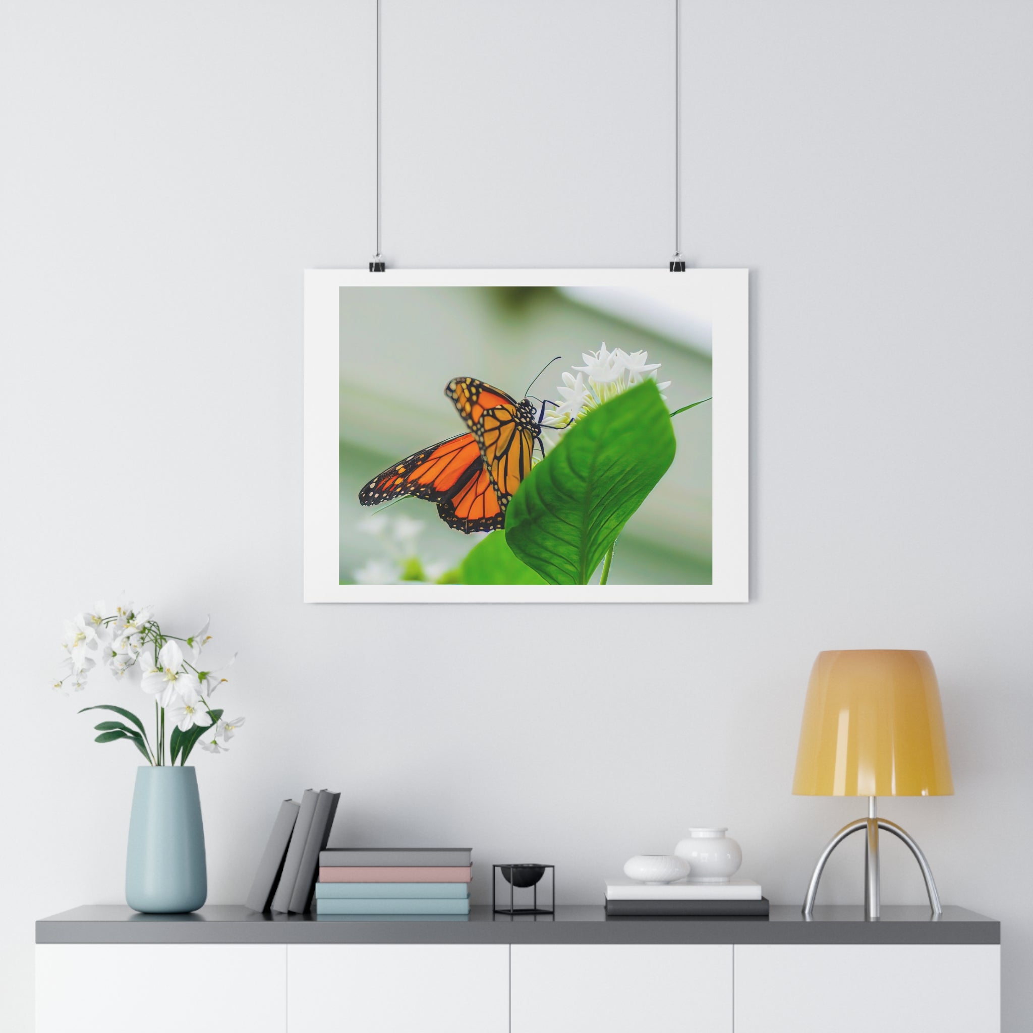 Monarch on White Blossoms — Giclée Art Print by autistic photographer at Phipps Conservatory
