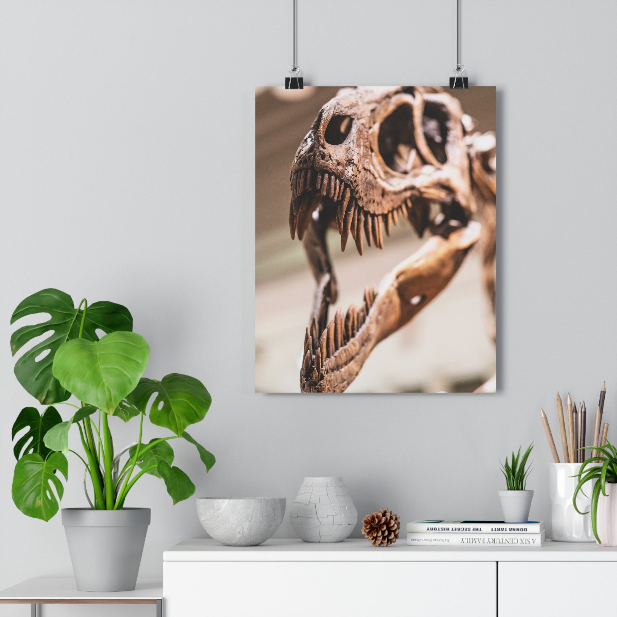 Allosaurus Skull Giclée Art Print — High-Angle Prehistoric Fossil Wall Art by autistic photographer at Carnegie Museum of Natural History, Pittsburgh, Pennsylvania