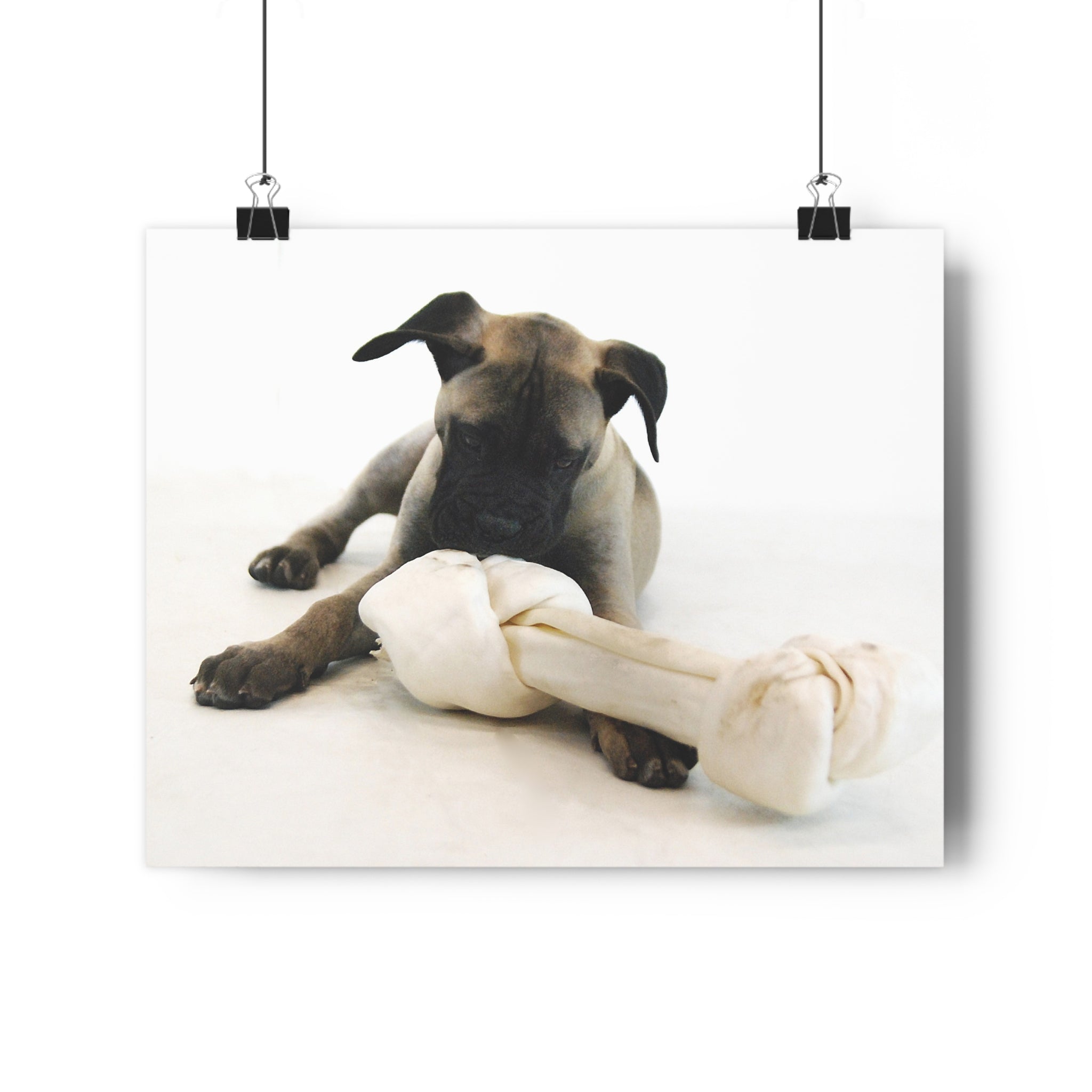 Bullmastiff Puppy with Giant Rawhide — Giclée Art Print by autistic artist