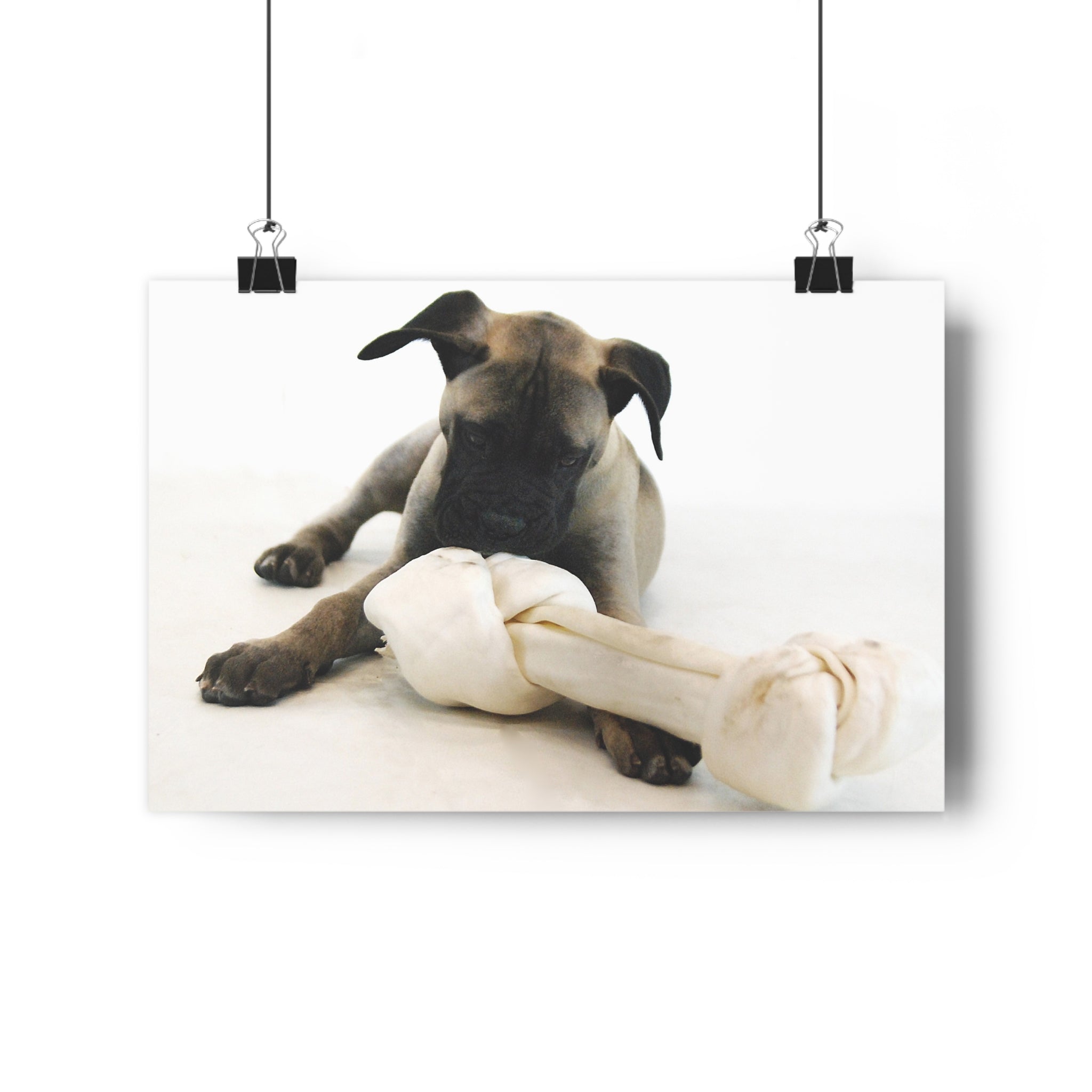 Bullmastiff Puppy with Giant Rawhide — Giclée Art Print by autistic artist