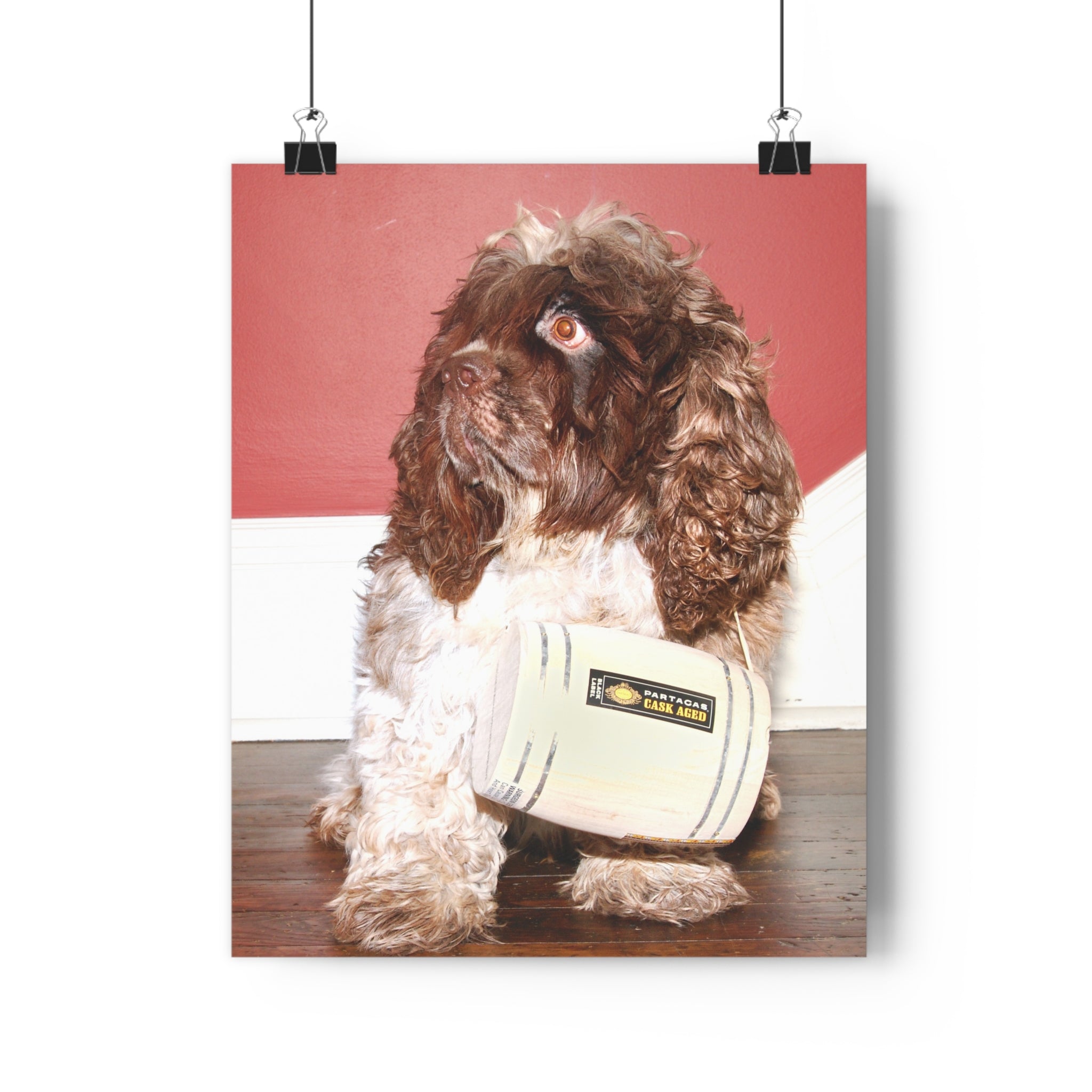 Fun Chocolate & White Cocker Spaniel homage to St. Bernard Giclée Art Print – Vintage Radio Prop Pet Portrait by autistic photographer